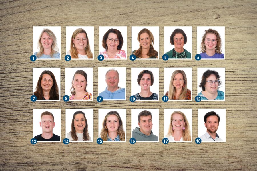 Ons team
