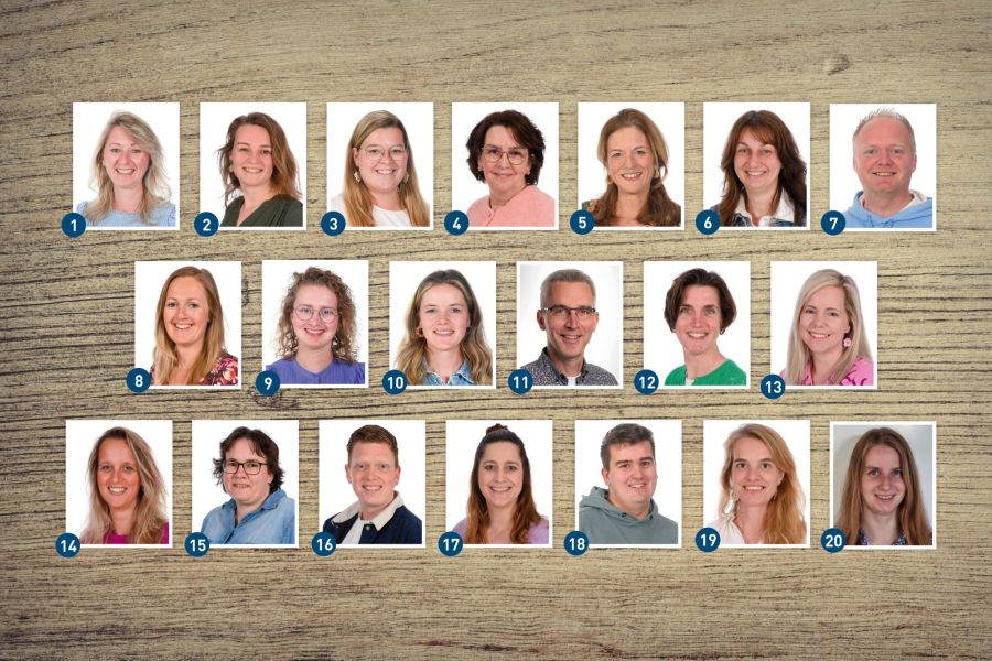Ons team